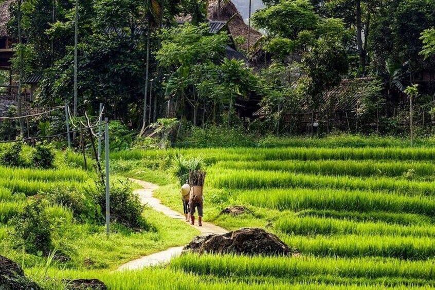 4-Day Authentic Tour in Da Bac, Mai Chau and Pu Luong from Hanoi