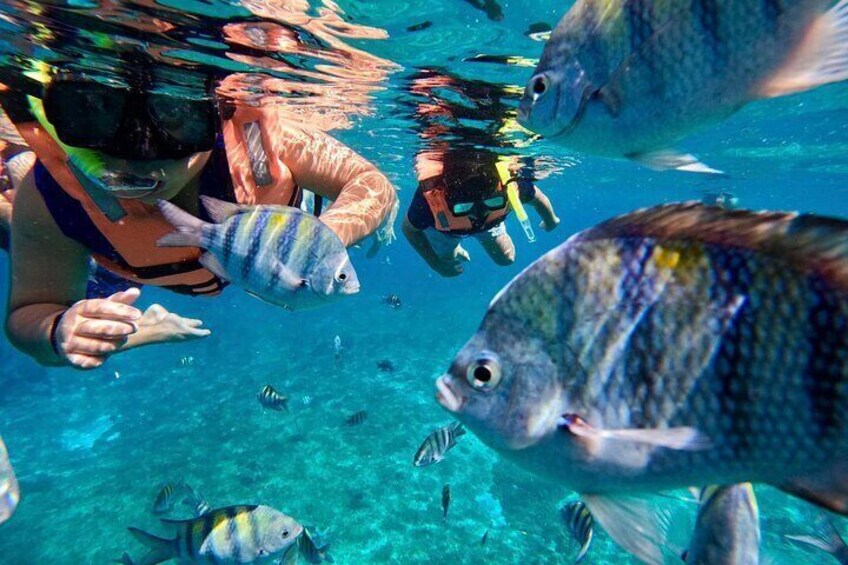 Transparent Boat Tour in Cozumel Reefs