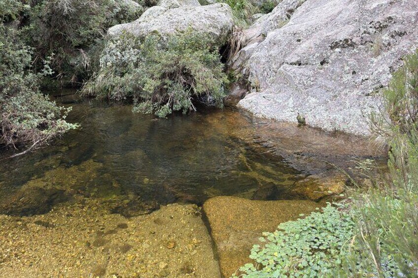 Discover the Magic of the Mountain Trekking Sightings and Rest