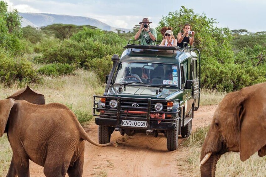 4 Days Masai Mara and Lake Nakuru 4X4 Jeep Camping Safari