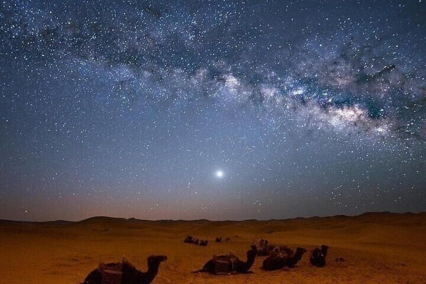 Stargazing Telescope, Camel Bedouin Dinner & Show–Sharm El Sheikh