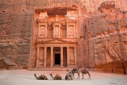 Petra Ancient Temple Day Tour with Ferry & Lunch – Sharm ElSheikh