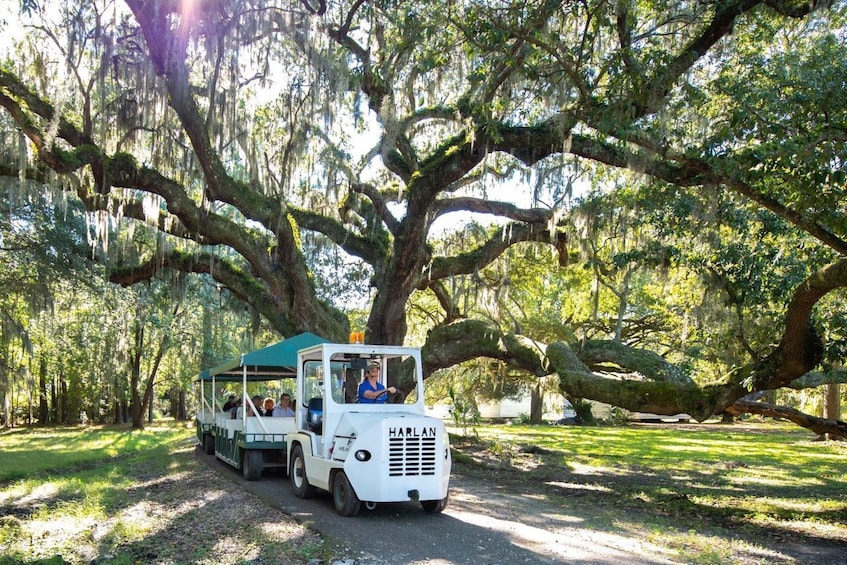 Magnolia Plantation Tour with Transportation