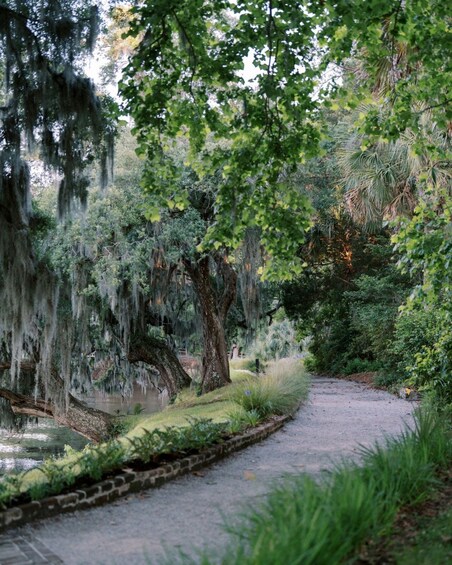 Magnolia Plantation Tour with Transportation