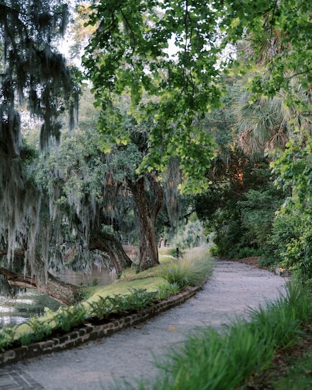 Magnolia Plantation Tour with Transportation