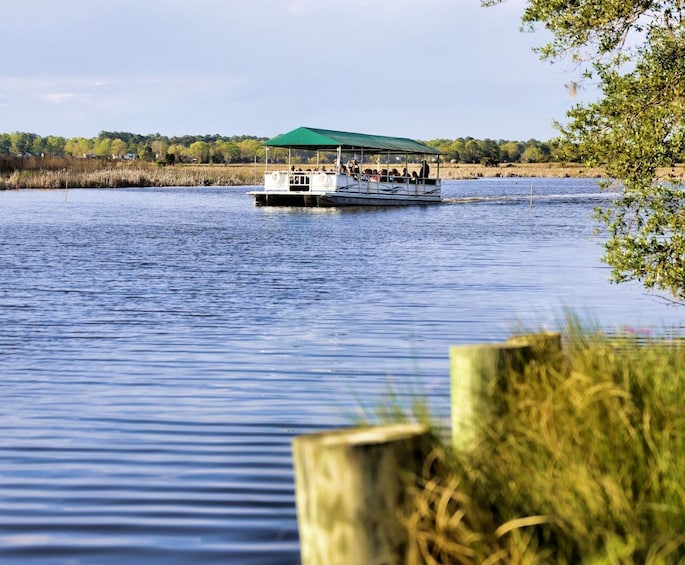Magnolia Plantation Tour with Transportation