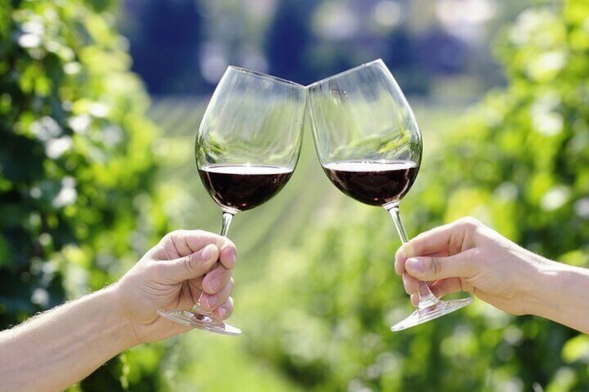 We will taste some of the most famous wines in Tuscany and worldwide 