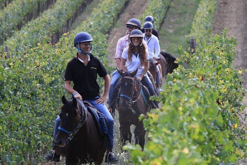 Horseback riding through the vineyards 