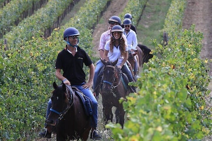 Paardrijden met wijntour vanuit Florence