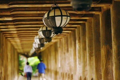 Nara Highlights Half-Day Tour: Temple & Local Cuisine