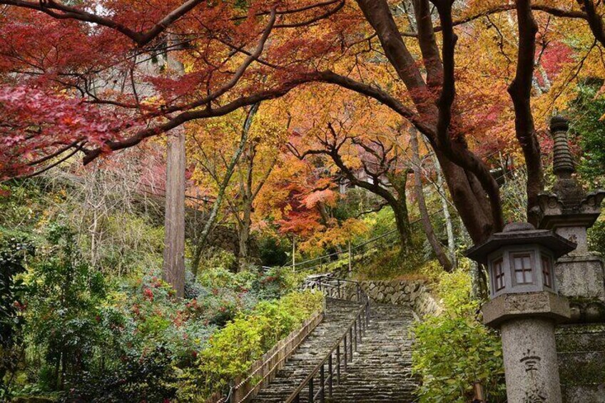 Hasedera Temple in autumn