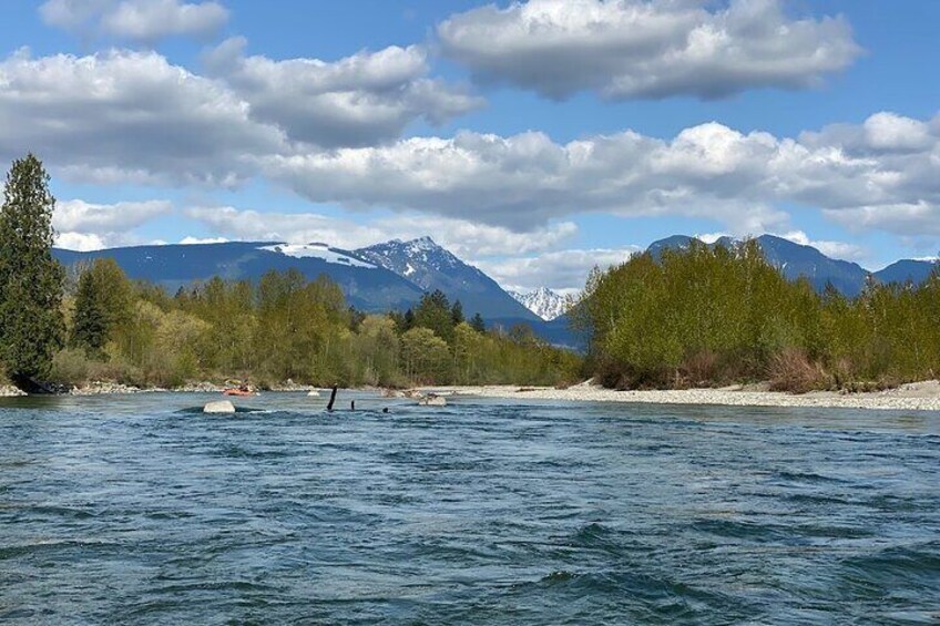 Skykomish Scenic Class 1 River Rafting Family Float