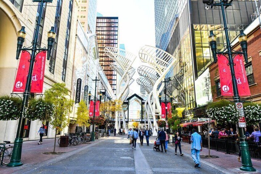 Private Luxury Full Day Calgary City Tour by Car