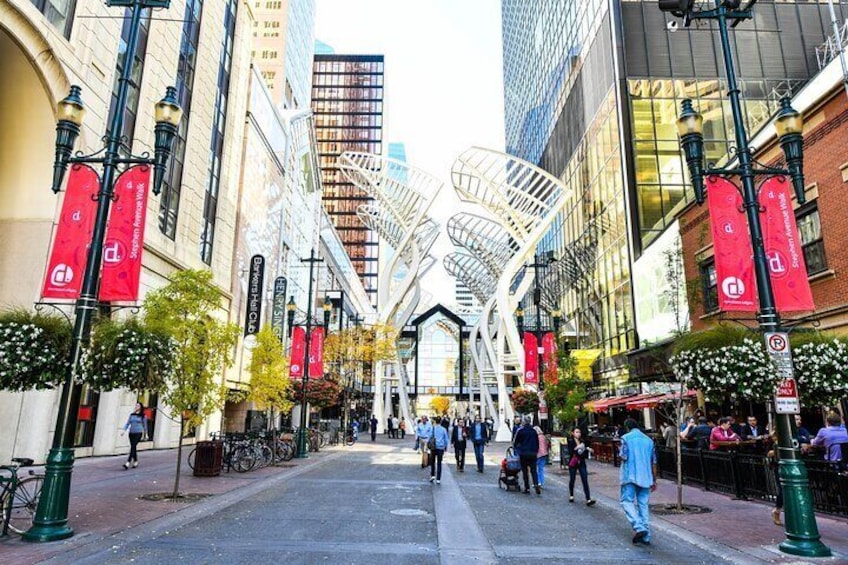 Private Luxury Full Day Calgary City Tour by Car