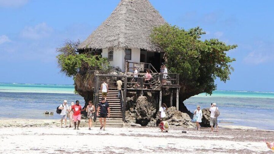 Jozani Forest ,Kuza Cave,Paje beach&the Rock Private Tour