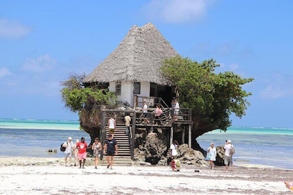 Jozani Forest ,Kuza Cave,Paje beach&the Rock Private Tour