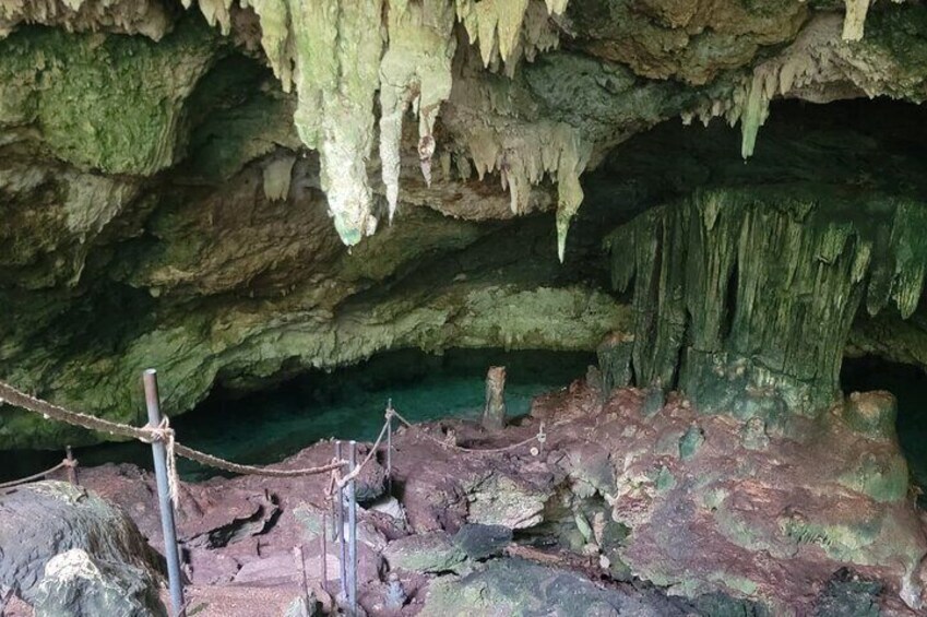 Jozani Forest and Kuza Cave Private Tour
