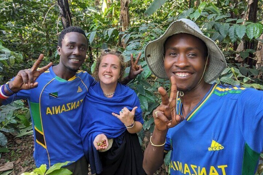 Visit coffee in the coffee farm with blue