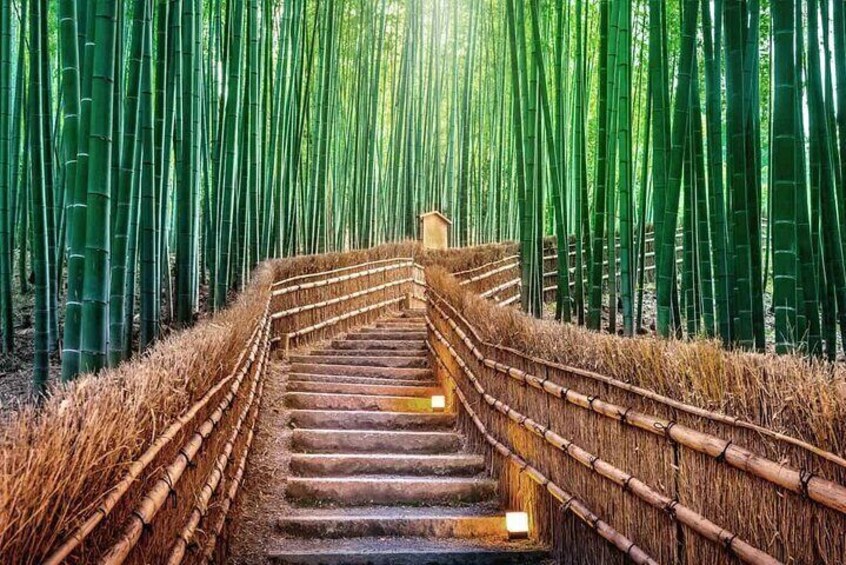While traveling on the train from Osaka to Kyoto, one can see the Arashiyama Bamboo Forest near Arashiyama, a town in Kyoto.