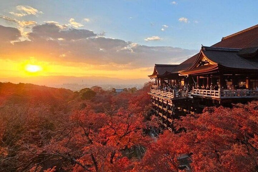 It grants access to various attractions, including Osaka Castle, Byodo-in Temple, and other sights along the Keihan Line.