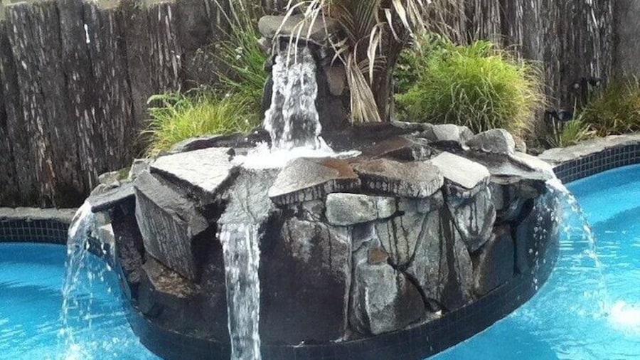 Auckland Thermal Pool and Muriwai Beach Sunset Day tour