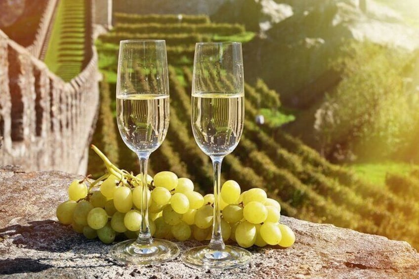 Private Wine and Champagne Tour from Paris