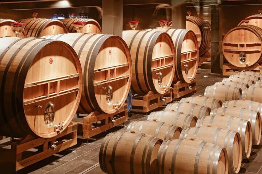 Private Wine and Champagne Tour from Paris