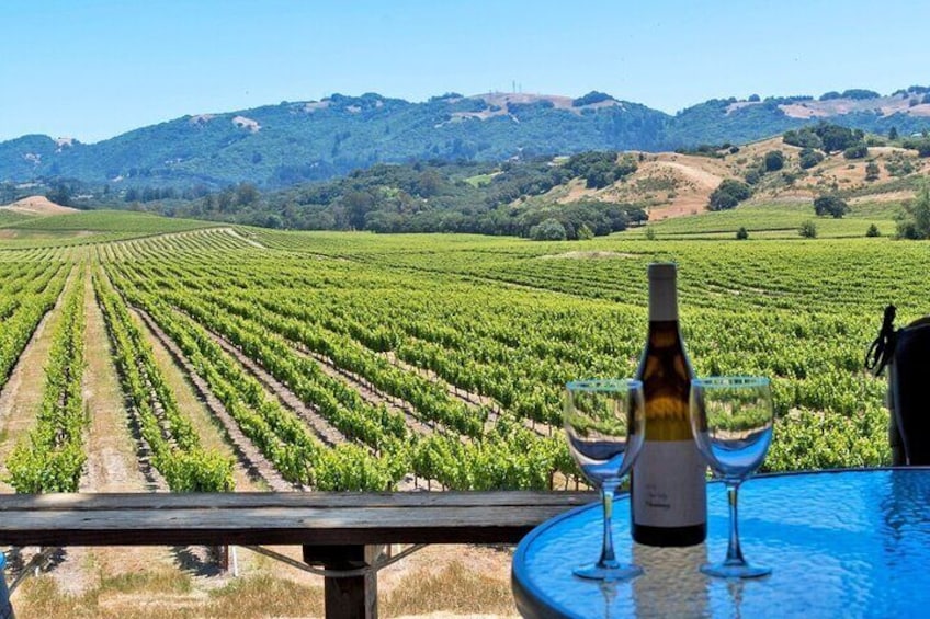  Private Wine and Champagne Tour from Paris