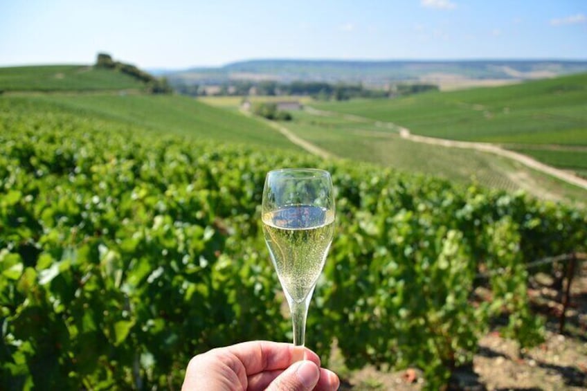Private Wine and Champagne Tour from Paris