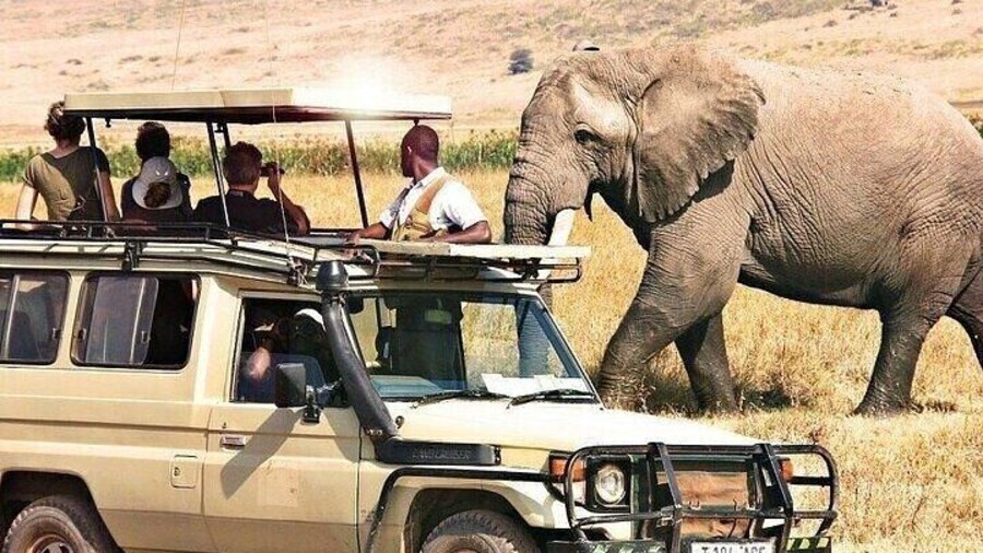 7-Day Off the Beaten Path - Luxury Safari on 4WD