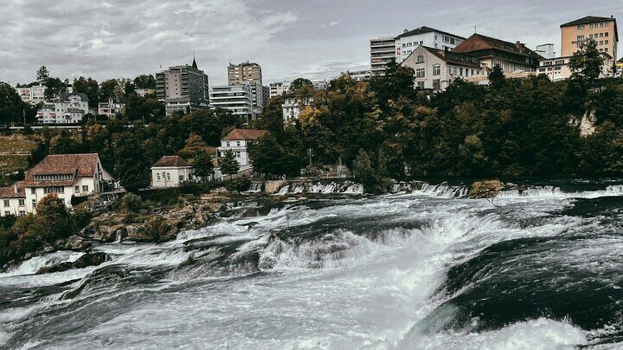 Rhine Falls and Stein Am Rhein 6 Hour Tour from Zurich