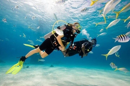Diving Tour from Antalya or Kemer with Lunch