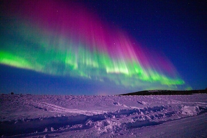 Small Group: Northern Lights Hunt 4x4 SUV - Aurora guarantee
