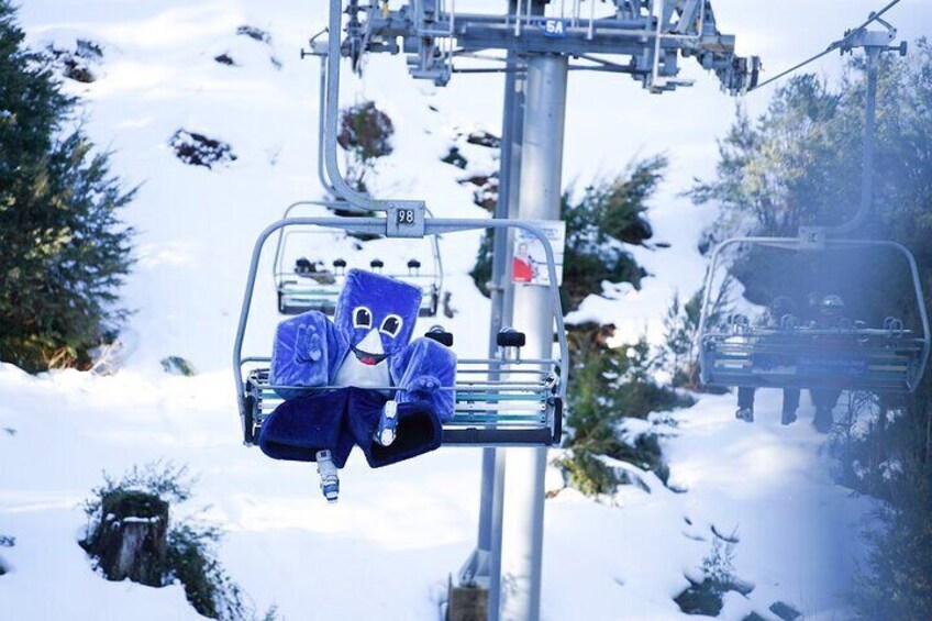 From Melbourne Mt Buller Enchanting Winter Day Tour