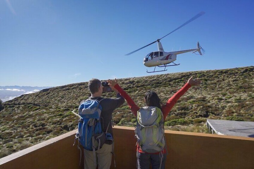 Fiordland Heli-hike