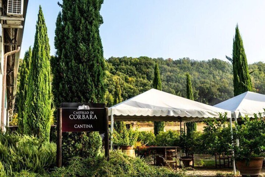 Taste the Wines of Corbara Exploring the Flavors of Umbria