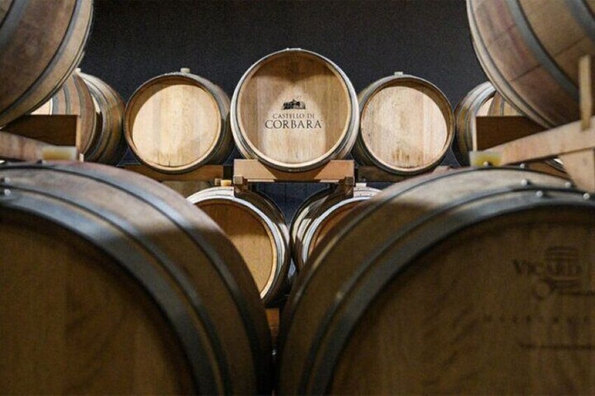 Taste the Wines of Corbara Exploring the Flavors of Umbria