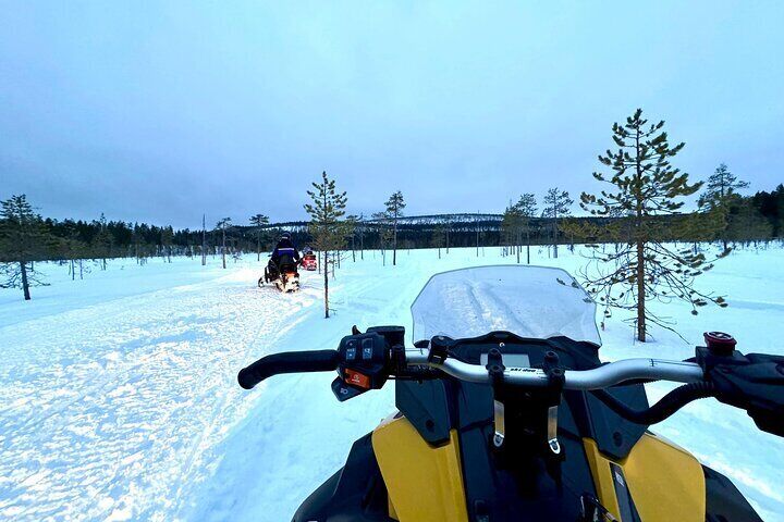 Snowmobile Safari Small Group Max 5 Snowmobiles