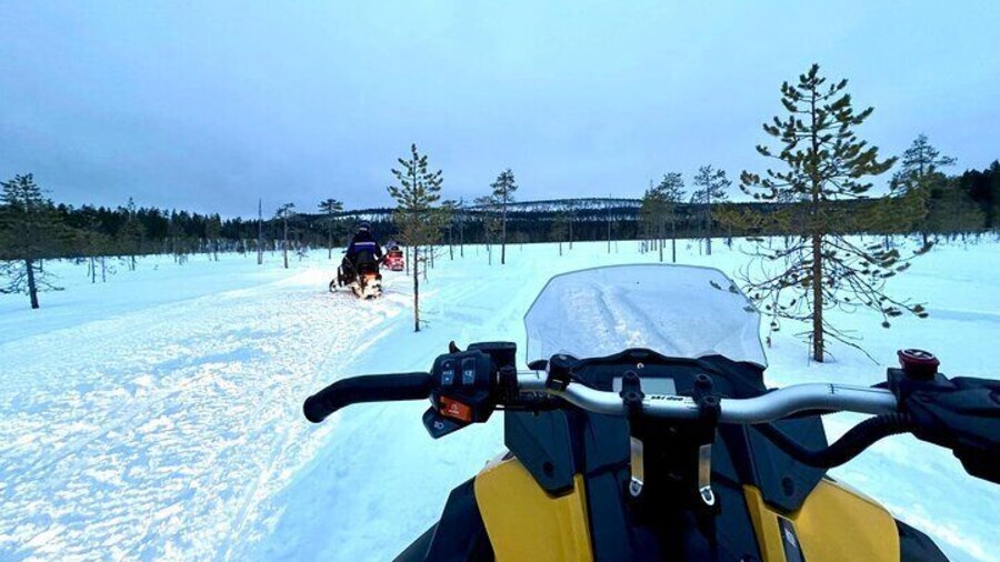 Snowmobile Safari Small Group Max 5 Snowmobiles