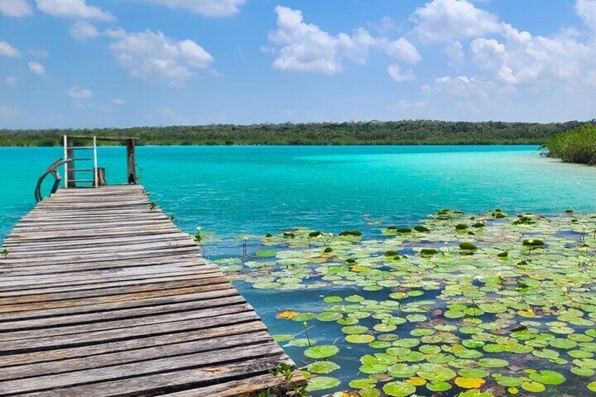 Swim stop