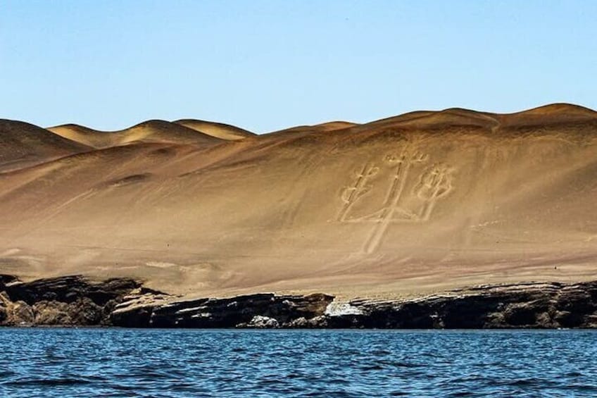 From Lima Tour Paracas and Huacachina Full Day