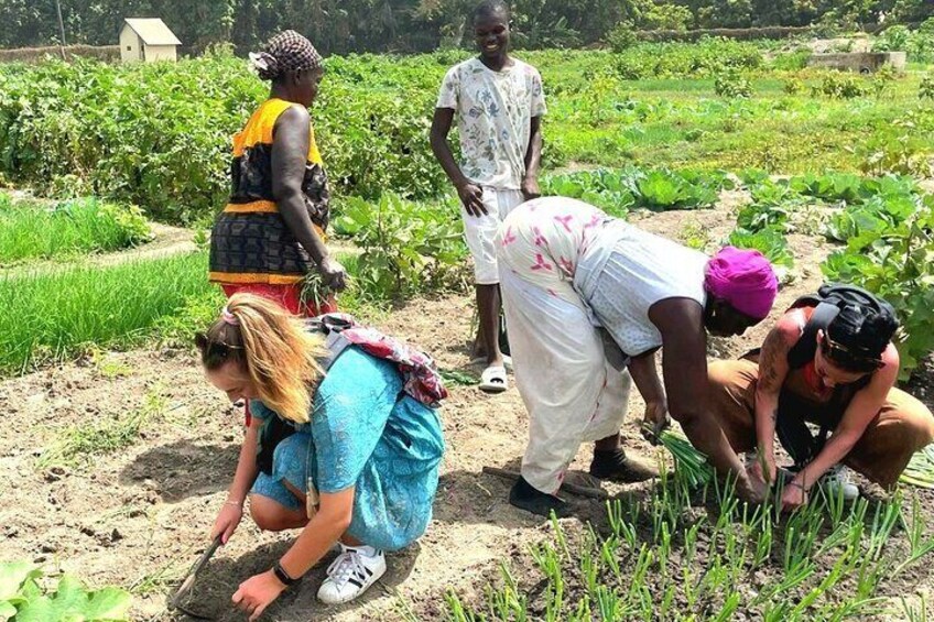Senegambia Highlights Cultural and Adventure Tours
