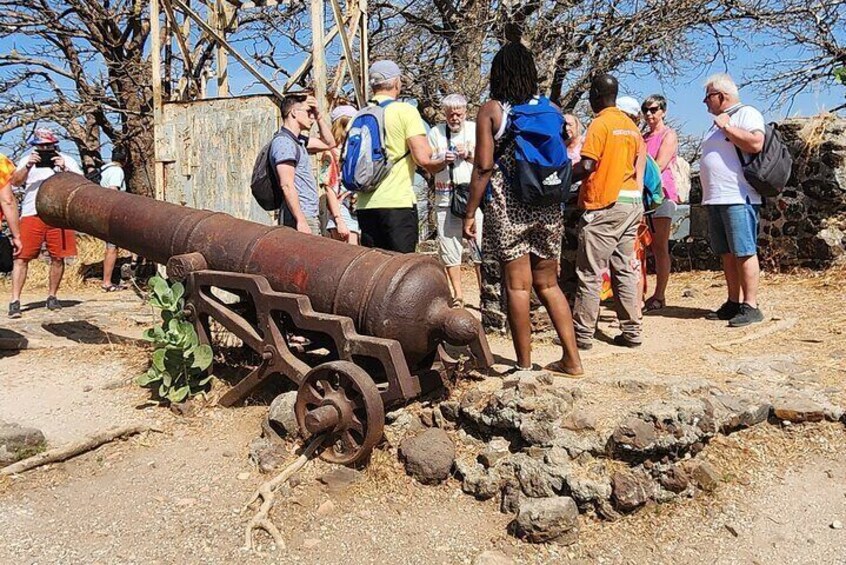 Senegambia Highlights Cultural and Adventure Tours