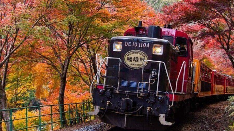 Kyoto Arashiyama & Nara Day Tour with Sagano Train, Giikawa Honpo