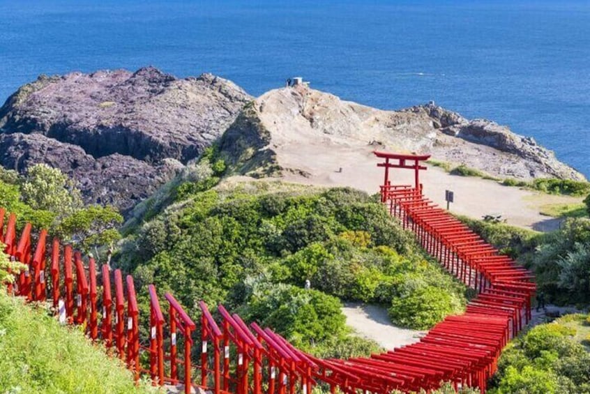 The Torii Tunnel of Motonosumi Shrine, with 123 red Torii gates extending along the hillside to the edge of the cliff, forms a beautiful landscape with the blue sky, green land and blue ocean. It is q