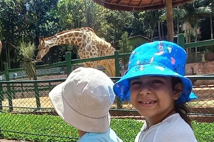São Paulo Fun Tour Zoo Botanical Garden