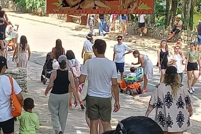 São Paulo Fun Tour Zoo Botanical Garden