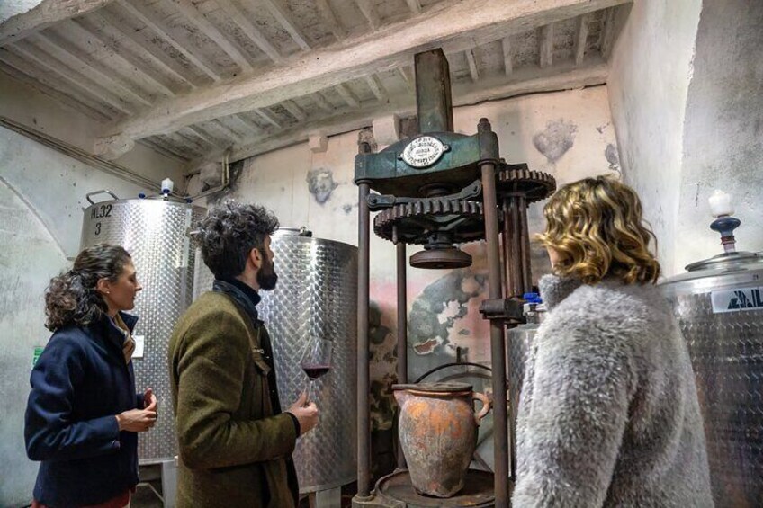 Wine and Oil Tasting