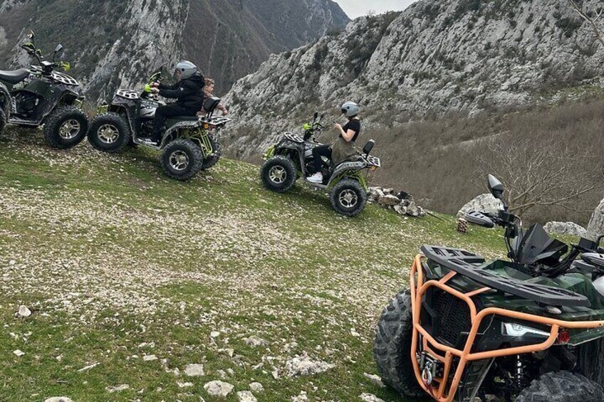 Chilling on top of the rest