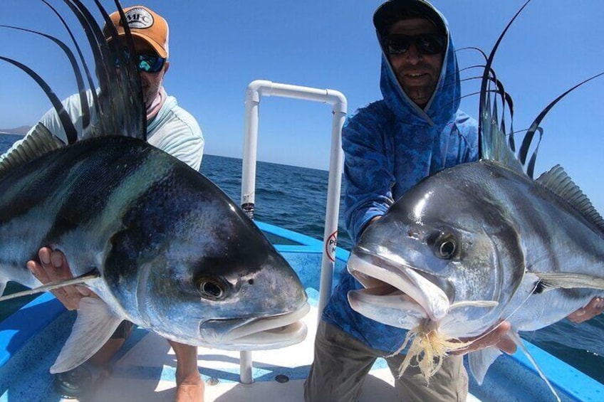 Double Roosters on the Fly
